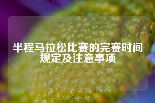 半程马拉松比赛的完赛时间规定及注意事项-第1张图片-皇冠信用盘出租