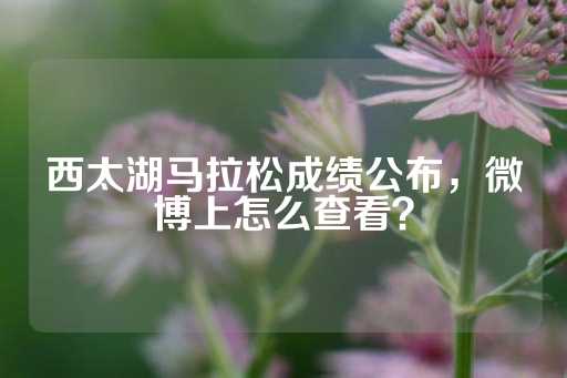 西太湖马拉松成绩公布，微博上怎么查看？-第1张图片-皇冠信用盘出租