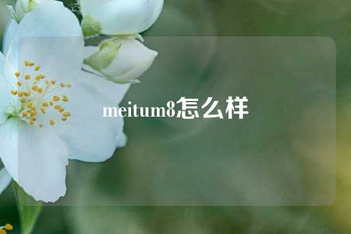 meitum8怎么样